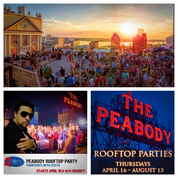 peabody rooftop party-shaggy